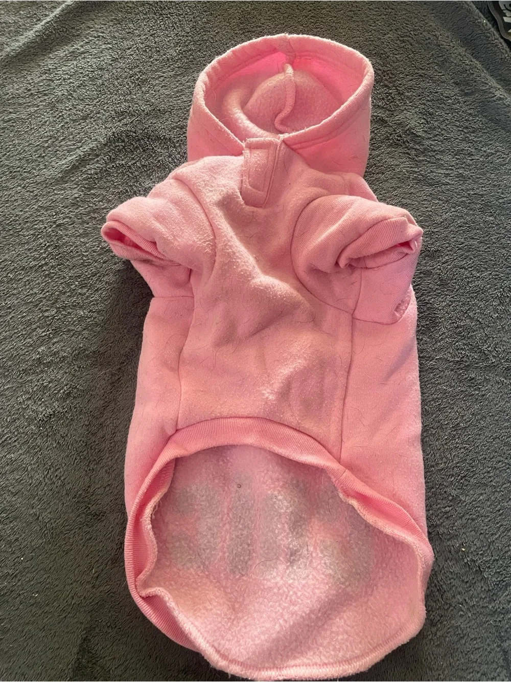 Holy Chic Pink Dog Hoodie